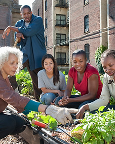 Community Gardening
