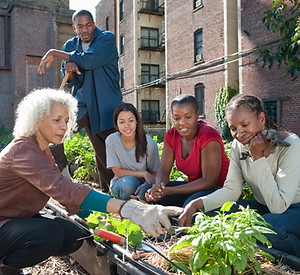 Community Gardening