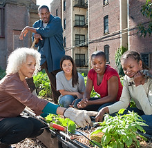 Community Gardening