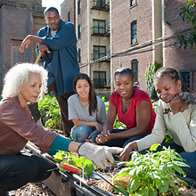 Community Gardening