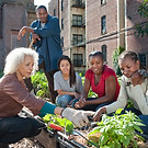 Community Gardening