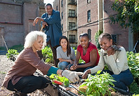 Community Gardening