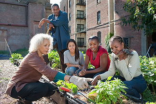 Community Gardening