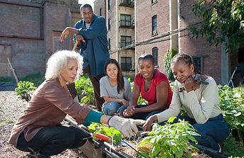 Community Gardening