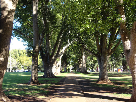 Your investigation of life's meaning