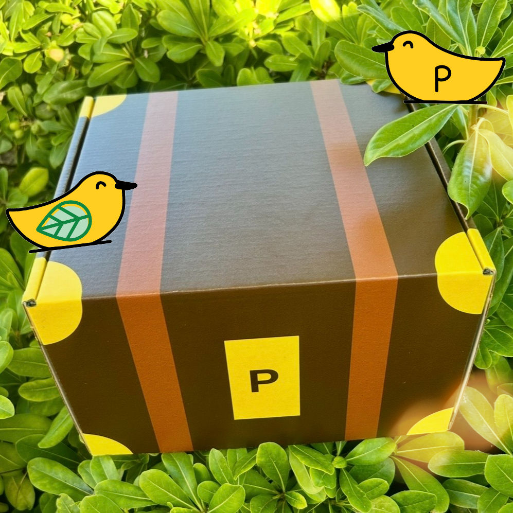 Custom Gift Box