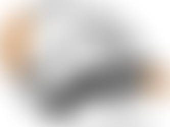 Entendimento bíblico-gramatical