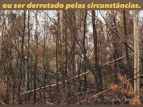 Plenitude de vida e paz vem de Jesus