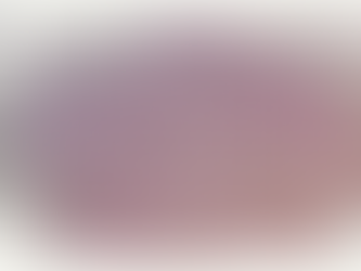 A epifania do servo fiel — o Senhor se revela a nós