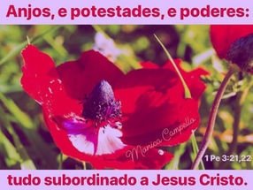 Abaixo de Cristo, tudo!!!