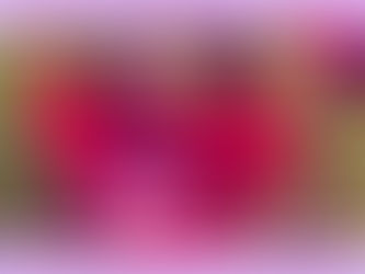 Abaixo de Cristo, tudo!!!