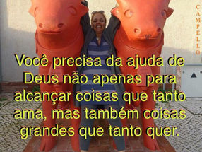 PALAVRA DO DIA: DILIGÊNCIA