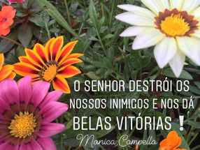 𝗢 𝗦𝗲𝗻𝗵𝗼𝗿 𝗾𝘂𝗲 𝗱𝗲𝘀𝘁𝗿ó𝗶