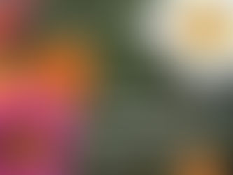 𝗢 𝗦𝗲𝗻𝗵𝗼𝗿 𝗾𝘂𝗲 𝗱𝗲𝘀𝘁𝗿ó𝗶