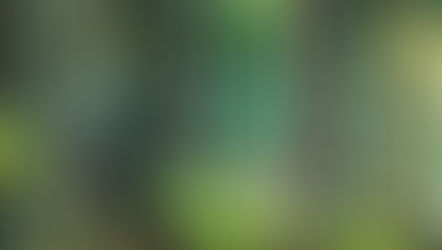 【CAMP】ひるがの高原キャンプ場