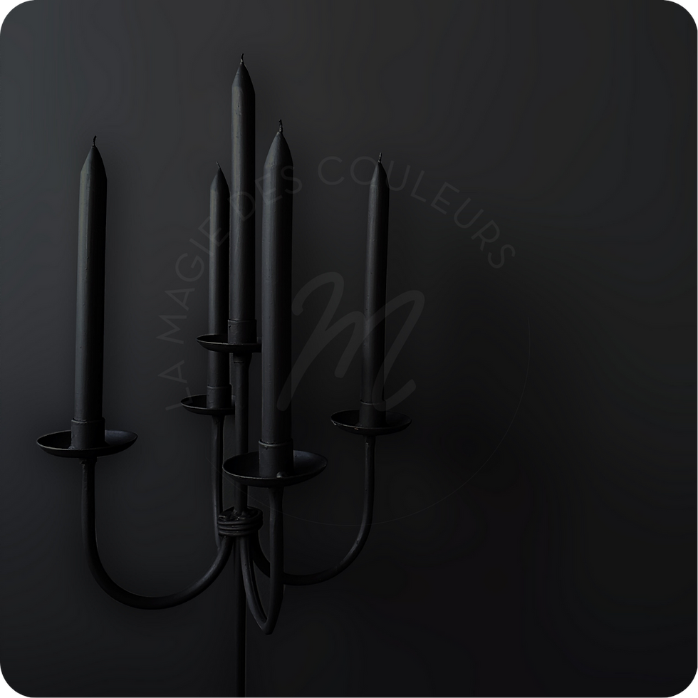 NOIR OLIVE