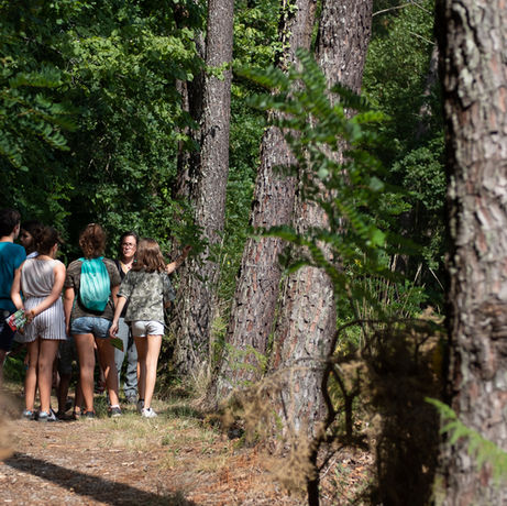 les rendez-vous en forêt