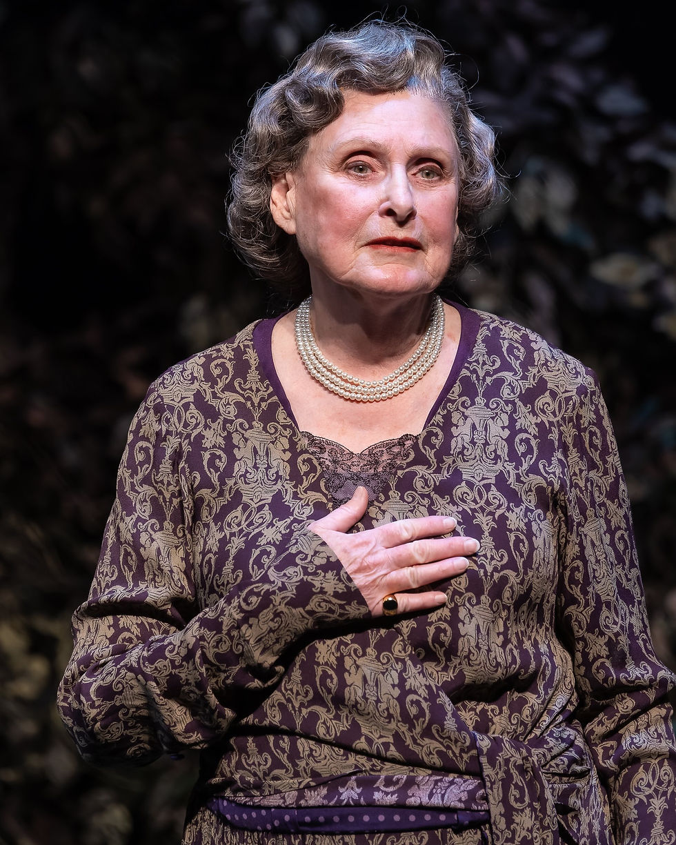 Kandis Chappell stars as Eleanor Roosevelt in “ELEANOR” by Mark St. Germain, directed by David Ellenstein and now playing at the Laguna Playhouse in Laguna Beach.