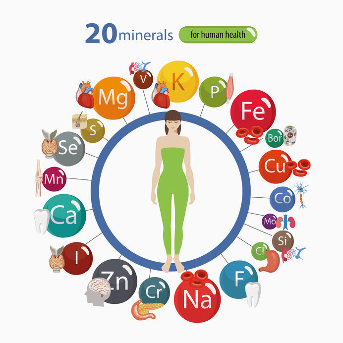 Top 4 Reasons Why Mineral Nutrition Is So Important