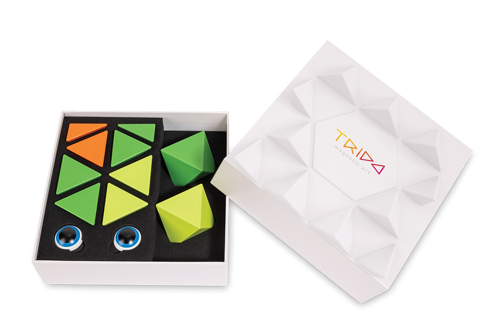 Thumbnail: Trido Jungle large set with 12 magnetic pieces for building geometric sculptures.