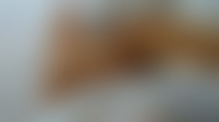 「モウモウで厳しい季節がやってくる」