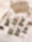 House of cards tarot tarot reading akashic records 塔羅占卜 塔羅教學 卡西紀錄