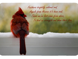 First sale on Zazzle!