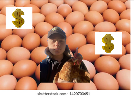 Ready, Steady, Grow!