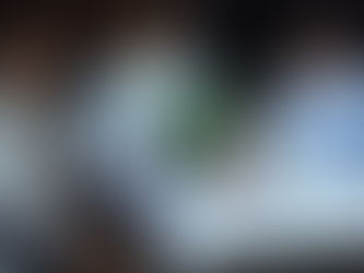 演技に邪魔な「偏見」