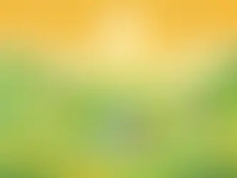 EEG Sankt Georgen