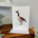 Canada Goose Watercolour Bird Cards