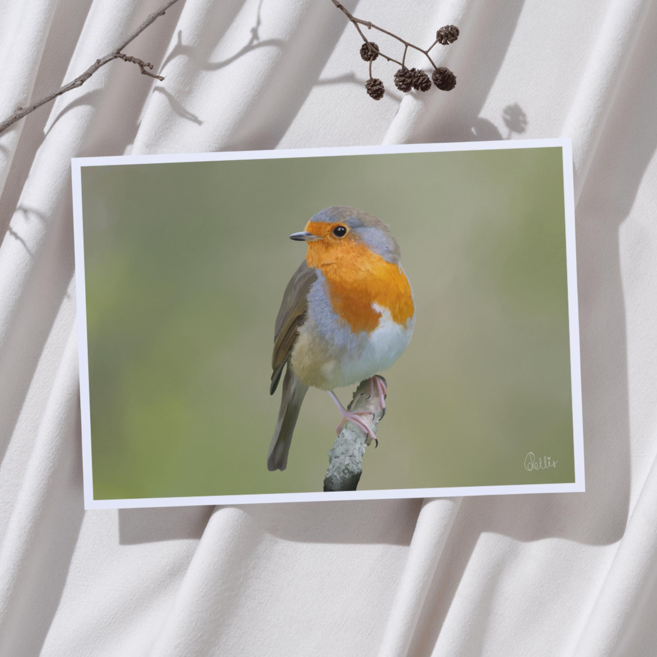 Gouache Realistic Robin Artwork Poster