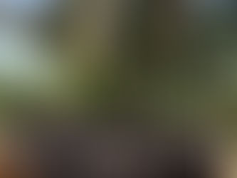 Sustenta no Global Youth Climate Summit