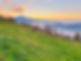 rigi-farm-online-hofladen.jpeg