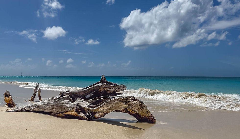 Dickenson Bay Beach