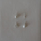 Thumbnail: Sacred Acorn Necklace (silver)