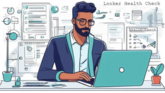 Looker health check