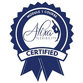 Module 1 Certification Logo (1).jpg