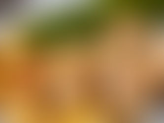 3 Simple Low FODMAP Dinner Ideas