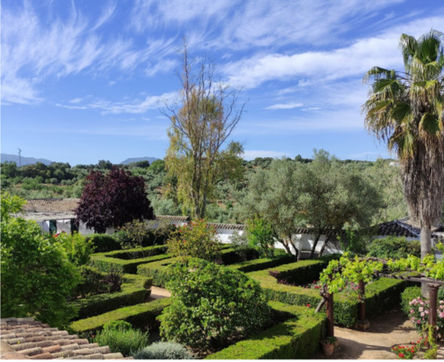 Yoga retreat Andalucia