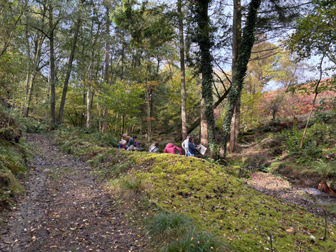 woodland walks