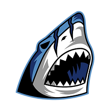 Primary Logo (transparent).png