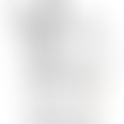 Days Without Incident: Seven