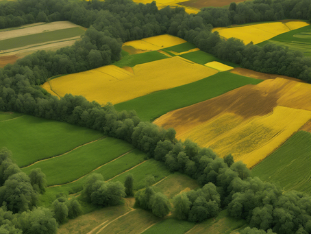 Transition to Mineral-Based Farming: Sustainable Solutions