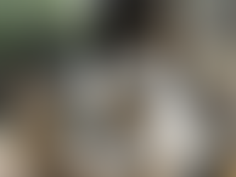 Ruled By Cats – Tama the Stationmaster Cat