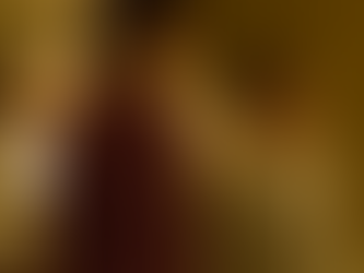 The Goldfinch – Plot Summary and Review