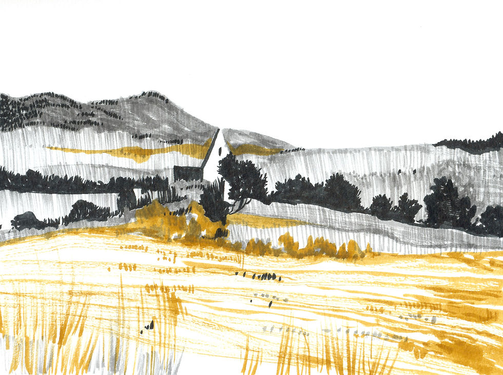 scetch2.jpg