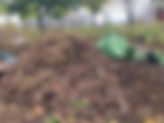 our compost with leaves.jpg