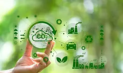 transition écologique.webp
