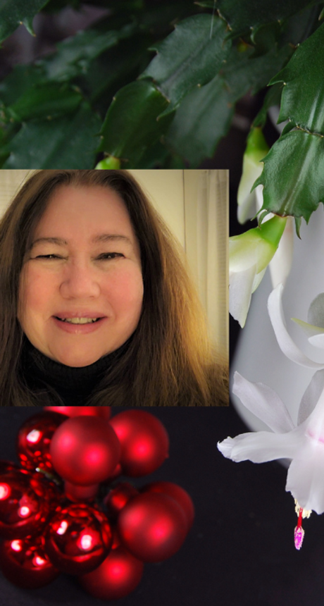 The Christmas Cactus HG GR.png